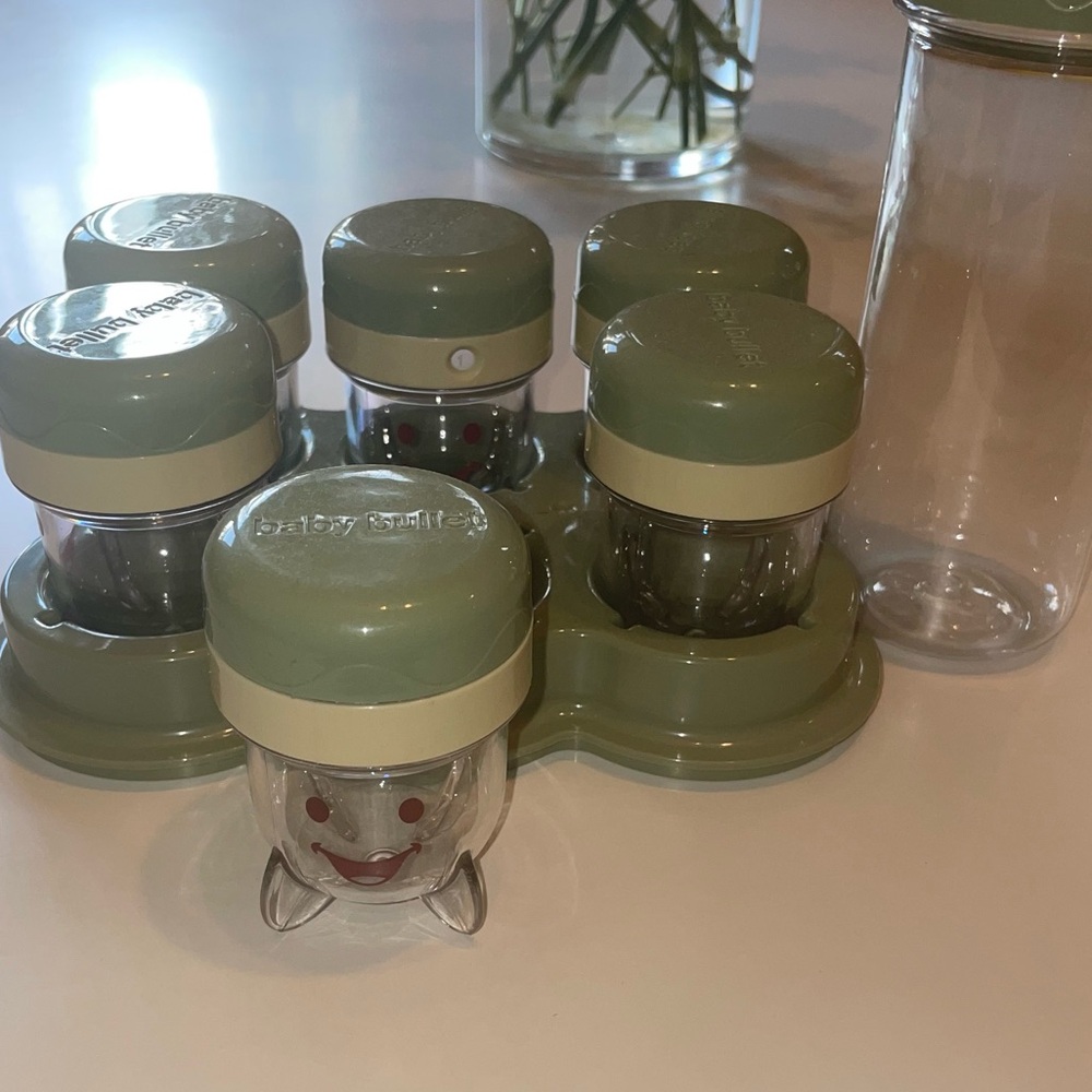 Magic Bullet Baby Bullet Storage System